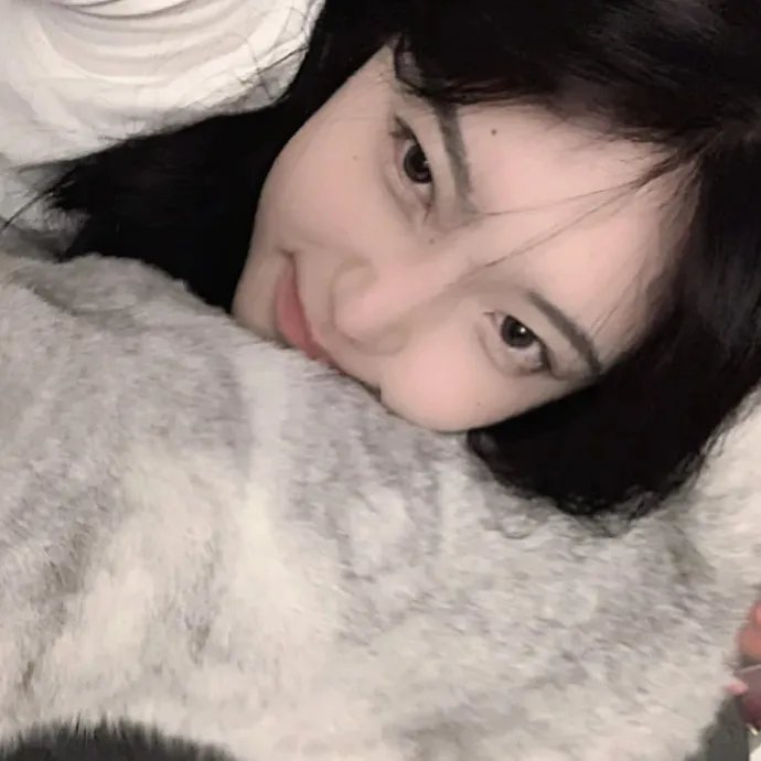 哈利，亲爱吾友